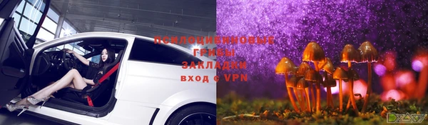 спиды Аркадак
