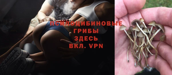 спиды Аркадак