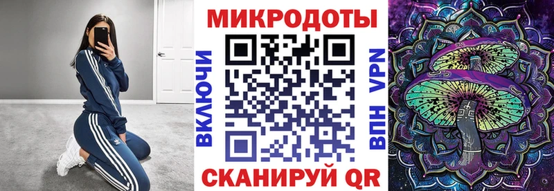 ссылка на мегу зеркало  Нязепетровск  Псилоцибиновые грибы мицелий 